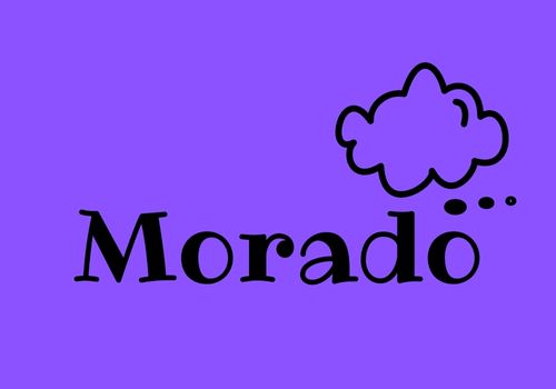 chaqueta cortavientos en morado