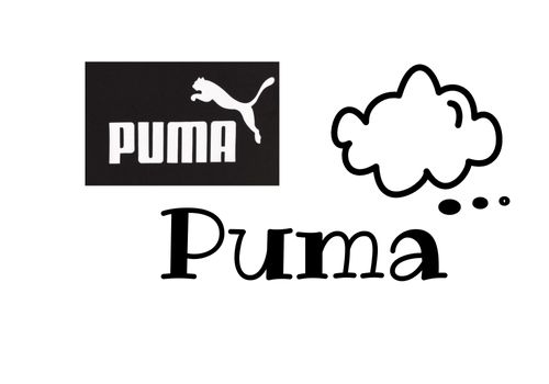 chaqueta cortavientos puma